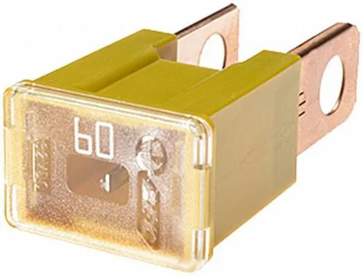 Pojistka 60A