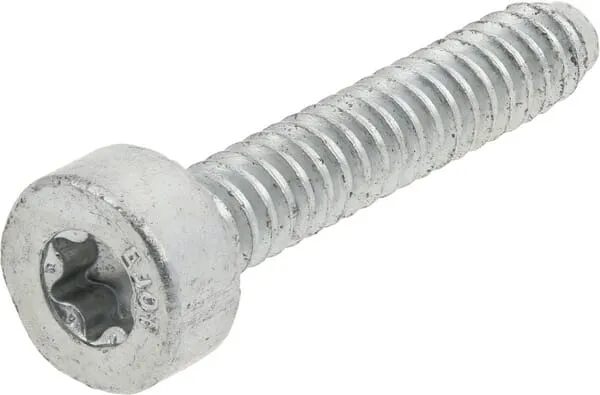 Šroub