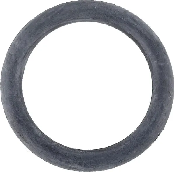Sealing ring