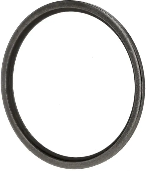 Sealing ring