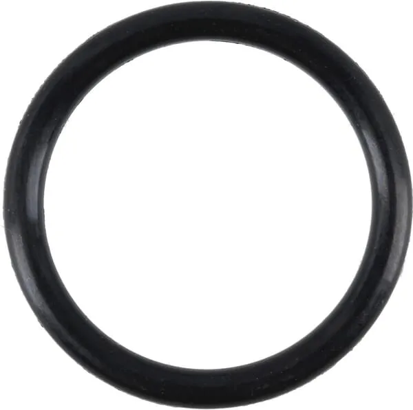 Sealing ring