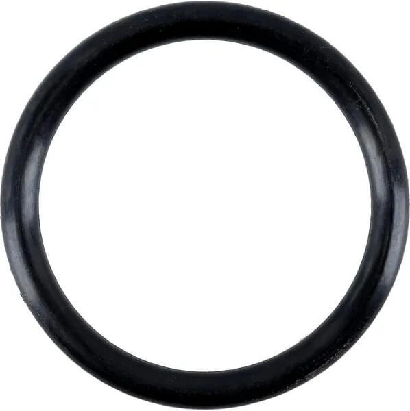 Sealing ring