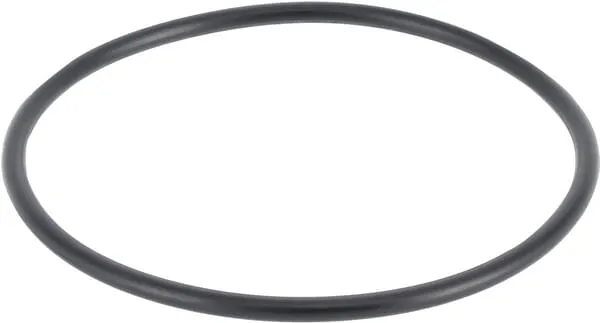 Sealing ring