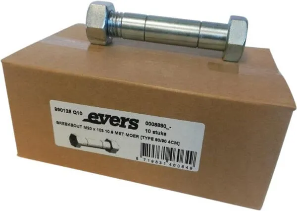 Střižný šroub s maticí (10x) M20x103 10,9 TYP 4cm hrot