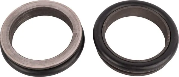 Oil seal