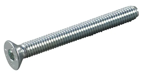 Šroub 6x55 BM5001R