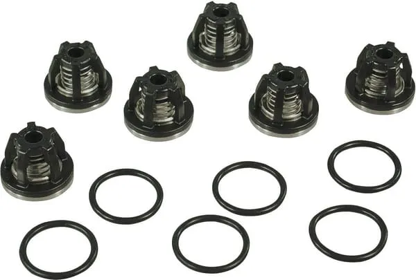 Sada ventilů a opravy čerpadla Annovi Reverberi