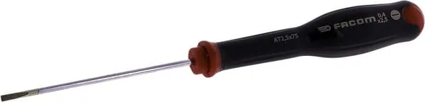 Šroubovák 2,5x75mm