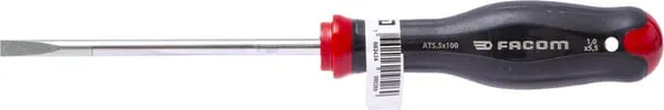Šroubovák 5,5x100mm