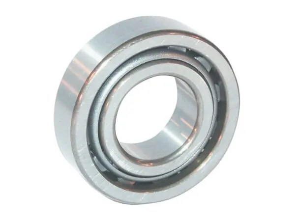 Cylindrical roller bearing 45x100x25mm INA/FAG