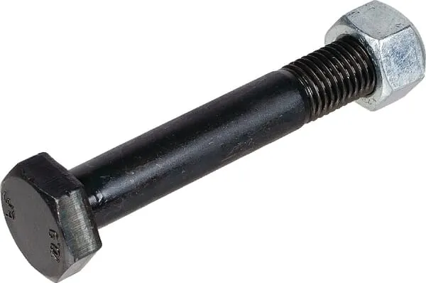 Šroub se šestihranem a maticí M16x2x100