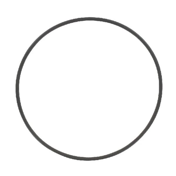 O-kr. 94,92x2,62NBR EVO90-170