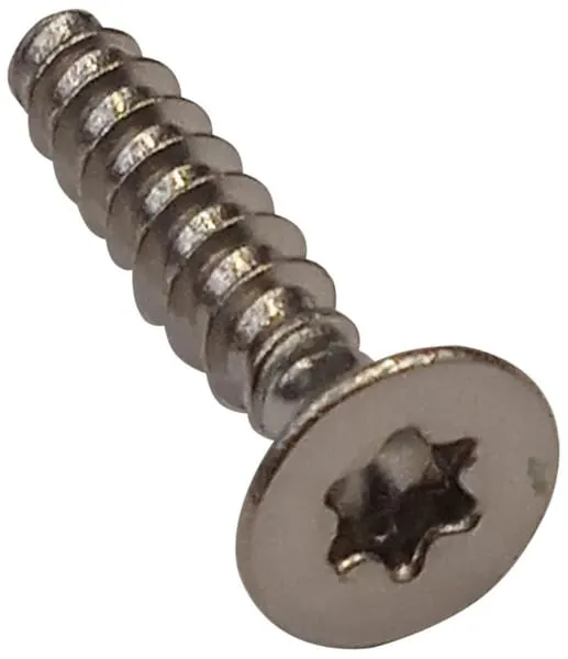 Šroub Torx 4x20