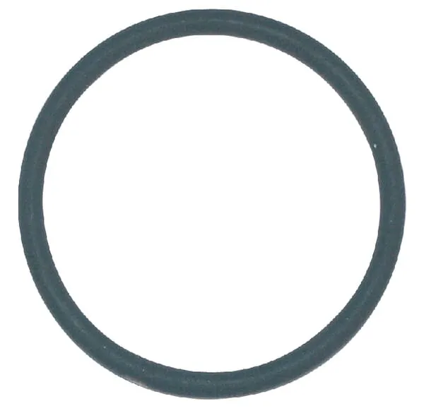 Těsnící kroužek 51 x Viton TeeJet