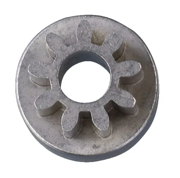 Pastorek malý pravý