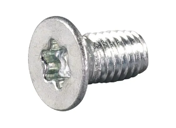 Zápustný šroub 5x10 mit Torx