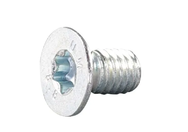 Zápustný šroub vn.torx M6x10-8.8 pozink.
