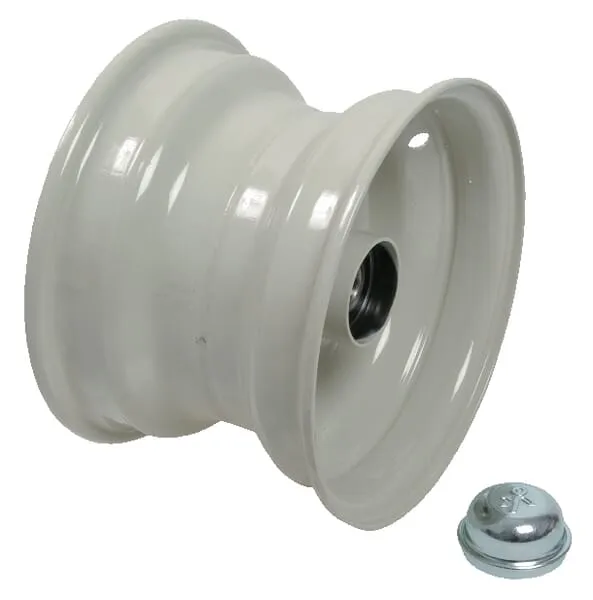 Disk s ložiskem und Kappe