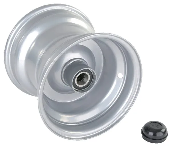 Disk s ložiskem und Kappe