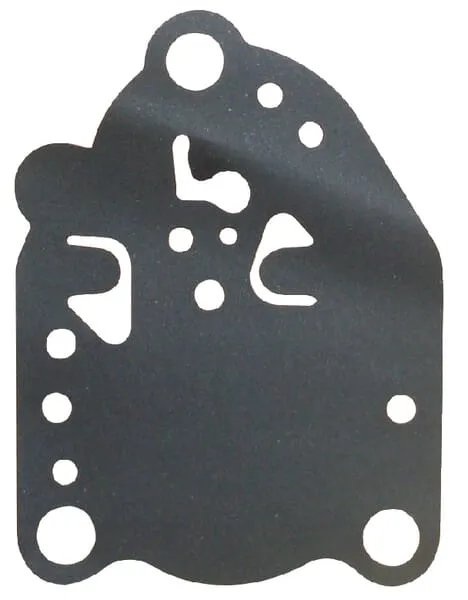 Membrána