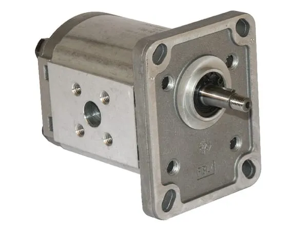 Gear pumps gr.1, EU flange, shaft 1:8 - PLP Casappa