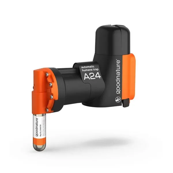 A24 Pasti na krysy a myši, startovací sady