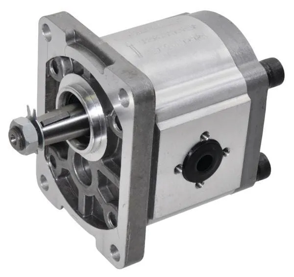 Zubová čerpadla gr.2, EU příruba, hřídel 1:8 - gopart