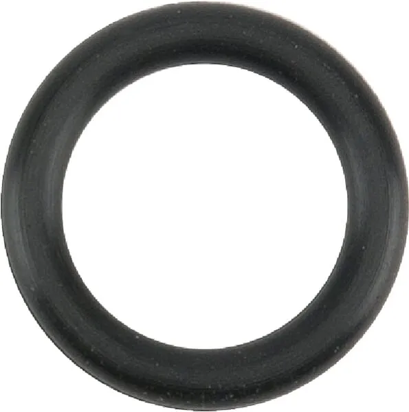 O-kroužek držáku trysky NBR
