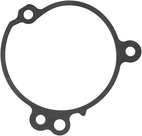 Těsnění vodního čerpadla