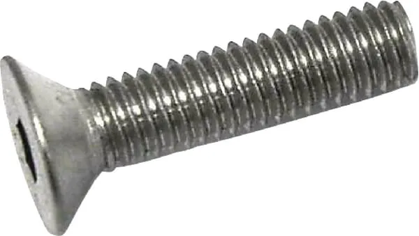 Šroub M6x25 A2