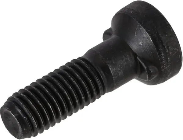 Šroub s čočkovou hlavou m12x45