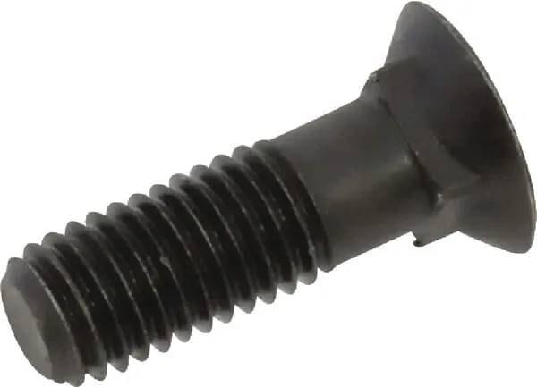 Šroub radlice M12x38