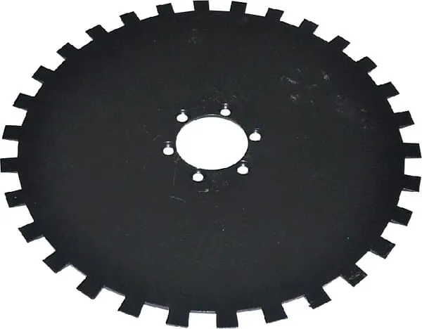 Ozubený disk