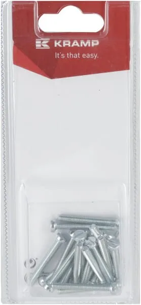 Šroub s drážkou M4 x 30 mm (20)