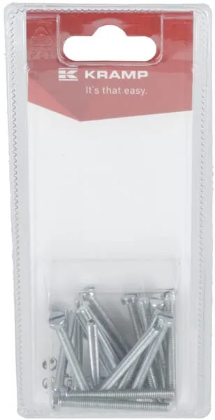 Šroub s drážkou M4 x 40 mm (20)