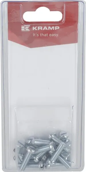 Šroub s drážkou M5 x 20 mm (20)