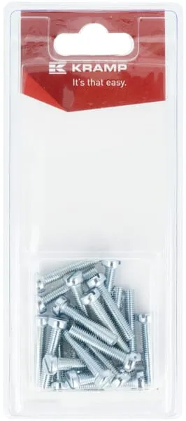 Šroub s drážkou M5 x 25 mm (20)