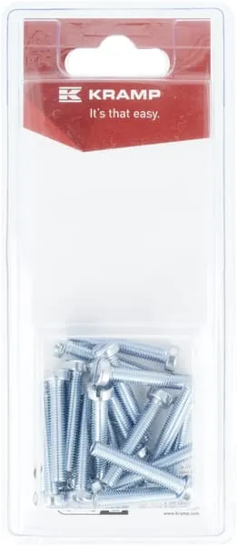 Šroub s drážkou M5 x 30 mm (20)