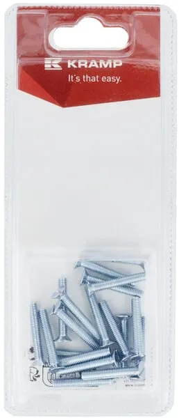 Šrouby se zápustnou hlavou M4 x 25 mm (20)