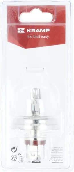 Žárovka 12 V x 45-40 W, P45t (1)