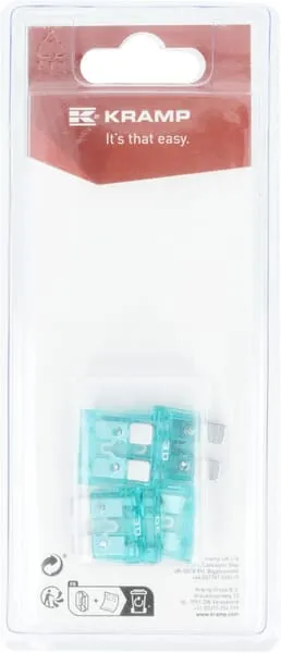 Pojistka 30 A x 20 mm (6)