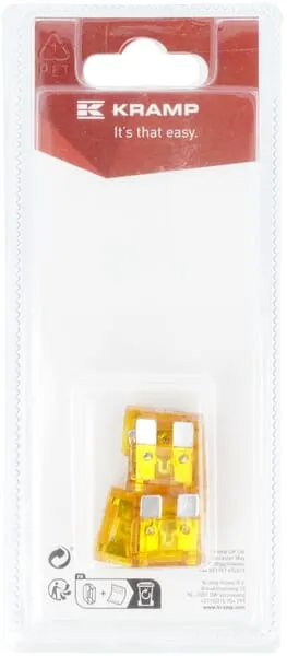 Pojistka 40 A x 20 mm (6)