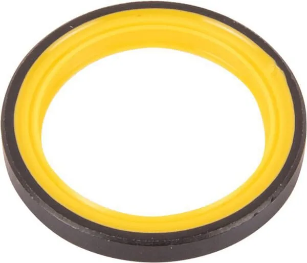 Oil seal