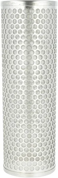 Filter element 80 mesh SS 2" Full Port