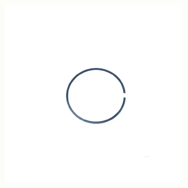 Piston Ring