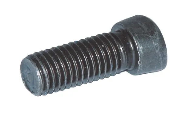 Pluhový šroub M12x30 12,9 Rabe