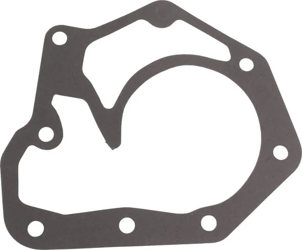 Water pump gasket