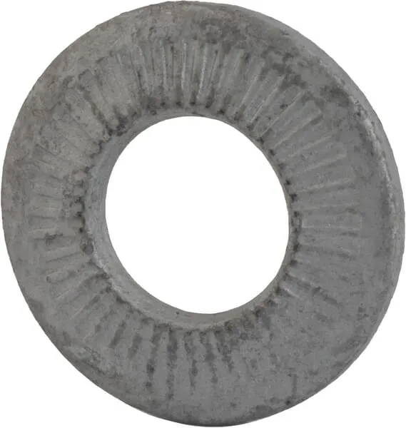 Disk