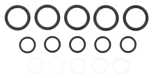 Sada těsnění pro SKS-F-06 (5x)