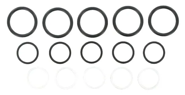 Sada těsnění pro SKS-F-10 (5x)